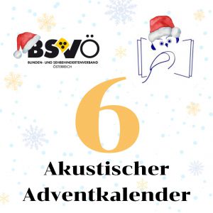 akustischer adventkalender © BSVÖ