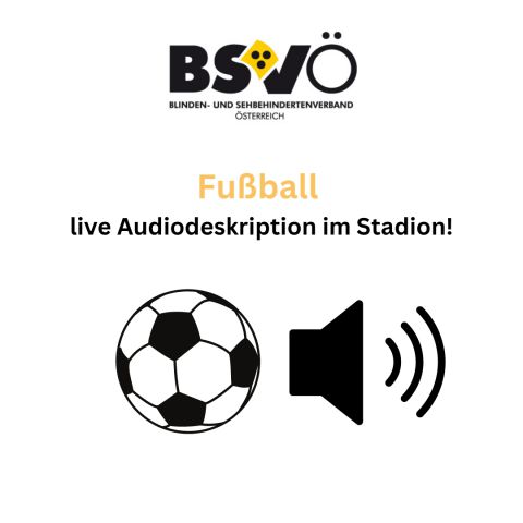 Fußball mit Audiodeskription © BSVÖ