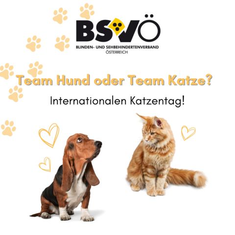 katzentag © BSVÖ