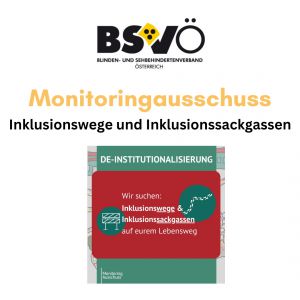 monitoringausschuss © BSVÖ/ Monitoringausschuss