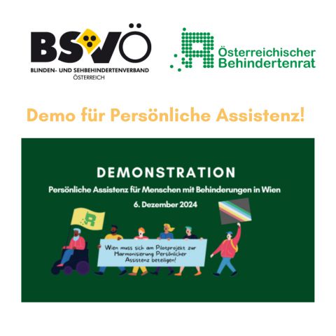 Demo © bsvö, Österreichischer Behindertenrat