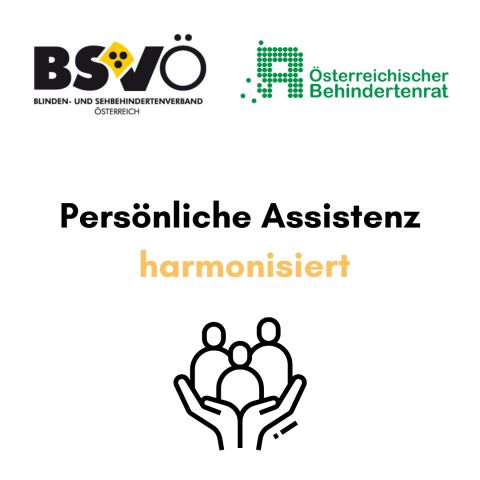 persönliche Assistenz © BSVÖ