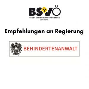 behindertenanwaltschaft © bsvö