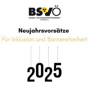 neujahrsvorsätze © bsvö