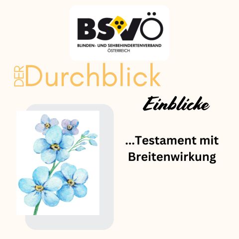 Der Durchblick Einblicke © BSVÖ