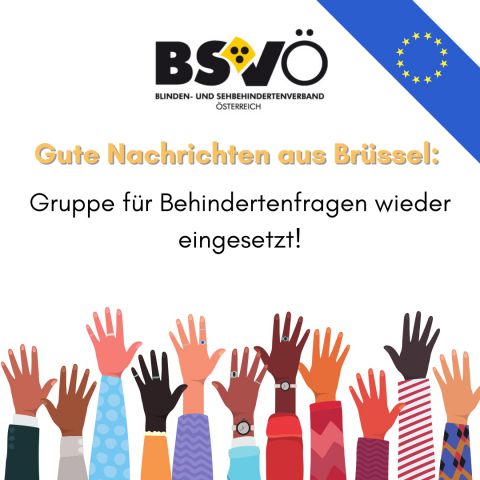 Brüssel © BSVÖ